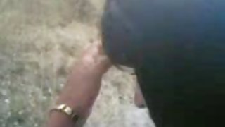 पोपिक बिल्ली बिल्ली चाट और उसे अश्लील गड़बड़ कर दिया