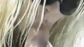 कार में रूसी गोरा को फाड़ दिया और पोर्न समाप्त कर दिया