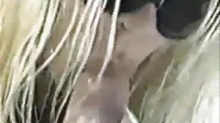 कार में रूसी गोरा को फाड़ दिया और पोर्न समाप्त कर दिया