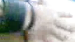 आबनूस गड़बड़ और पिटाई युवा, सफेद फूहड़ अश्लील