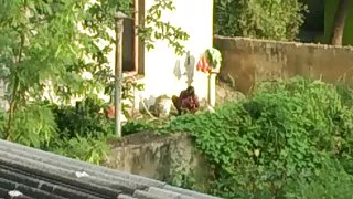 गड़बड़ सुंदर और उसके गधे पर सह