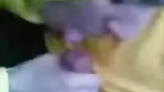 पोपिक बिल्ली बिल्ली चाट और उसे अश्लील गड़बड़ कर दिया